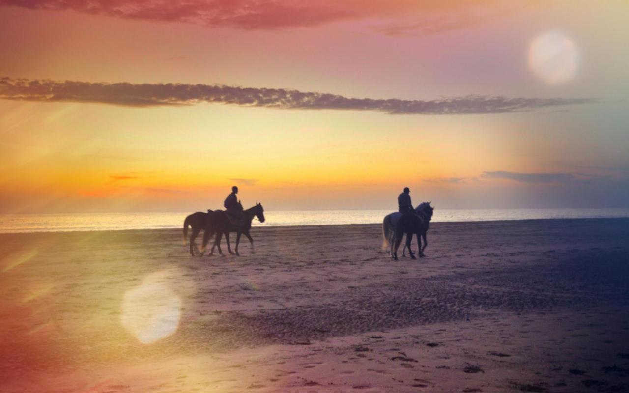 Blue Wave Lodge Agadir n'Ait Sa 外观 照片